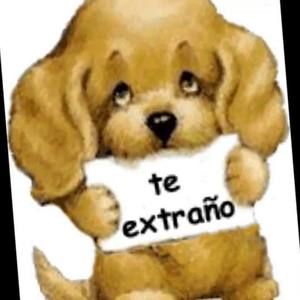 Meet your Posher, Bella